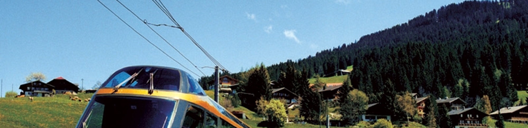 goldenpass