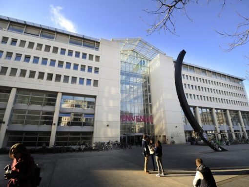 Formation à l’université de Genève